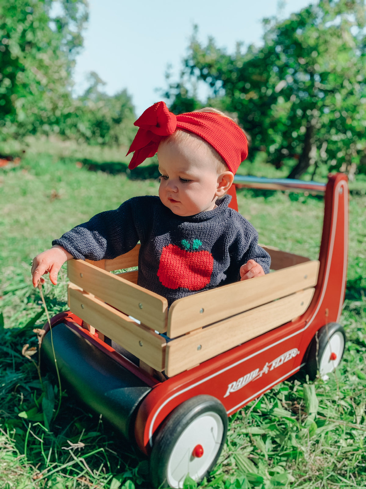 baby in wagon wearing apple sweater
