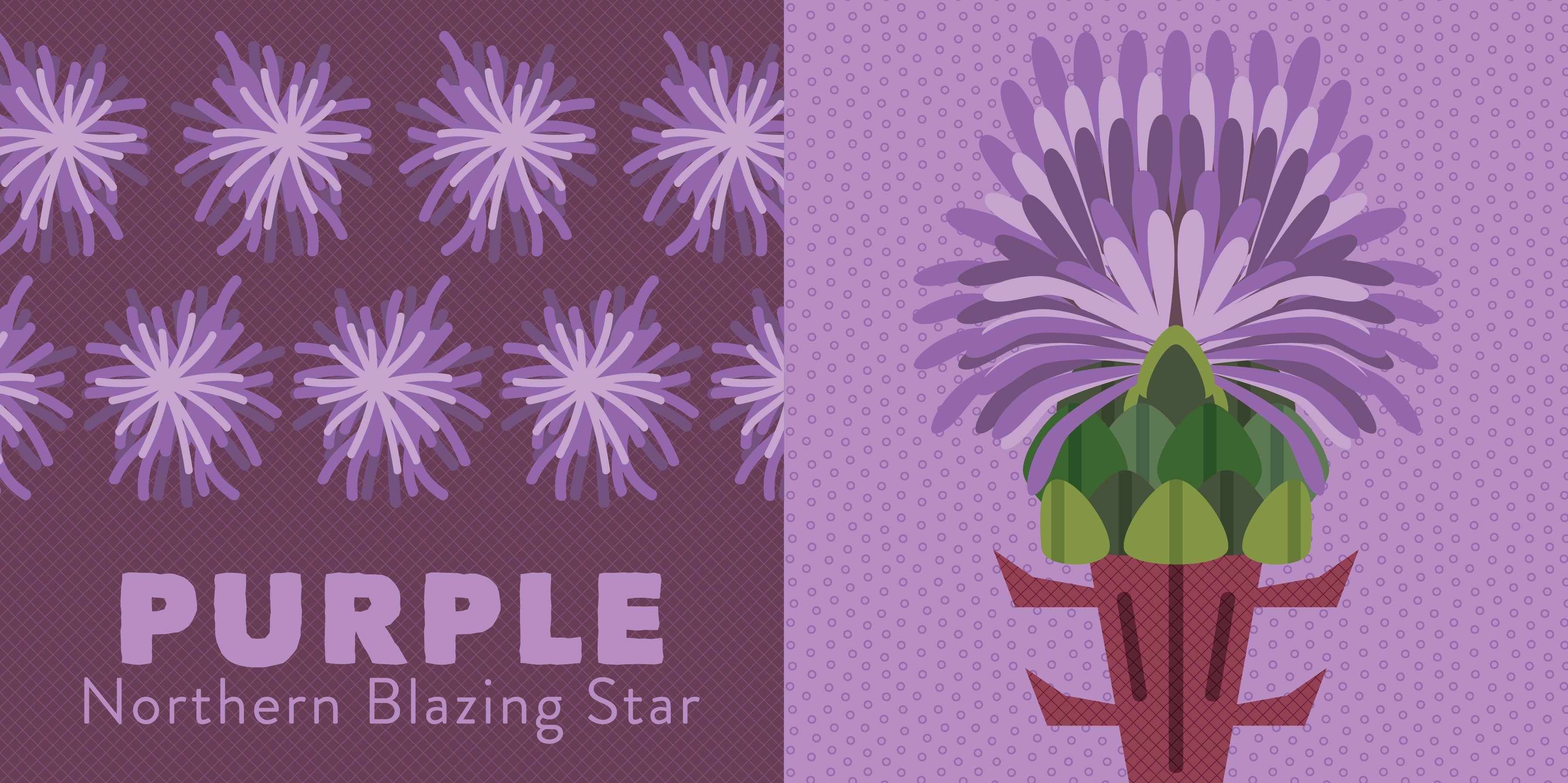 Illustration of a purple flower with green leaves on a purple background, labeled &