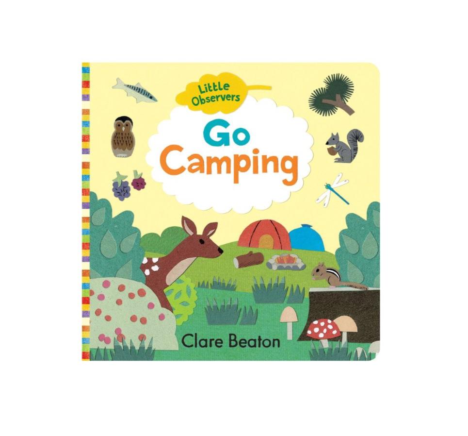 Little Observers: Go Camping Book
