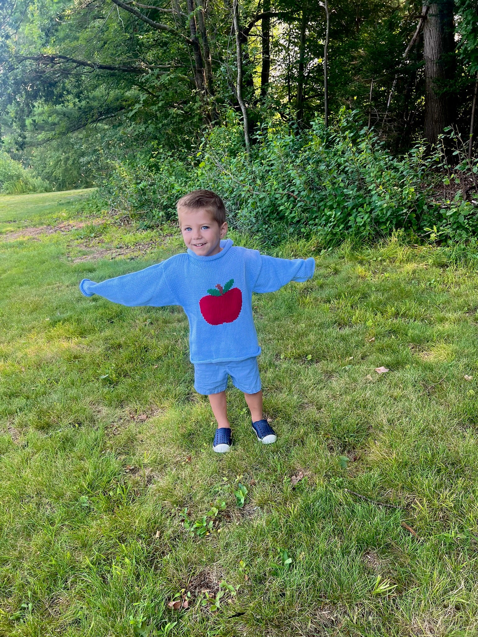 light blue sweater with red apple