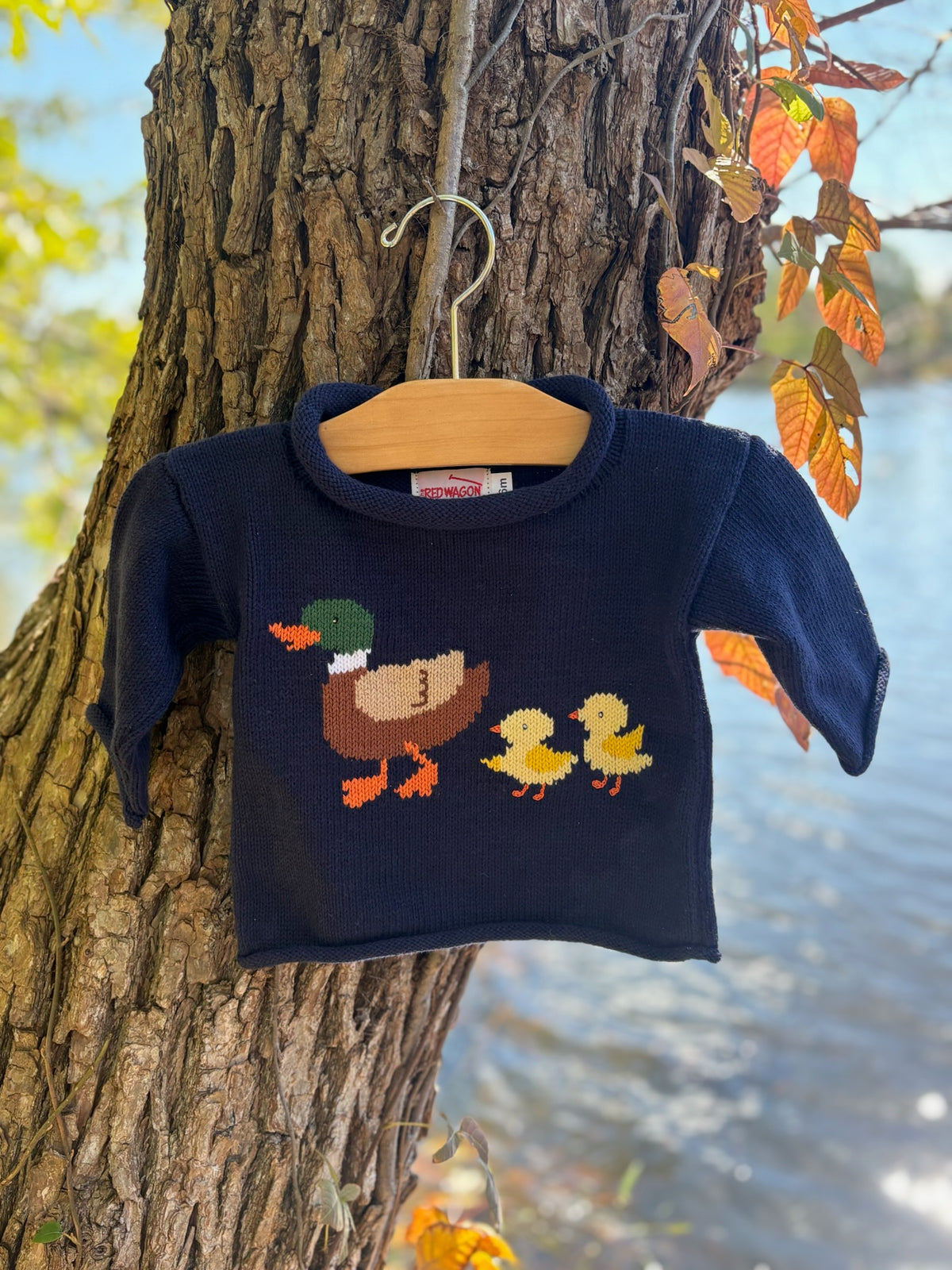 sweater on tree