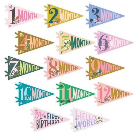shows all pennants from 1 month to 12 months