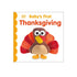 cover shows felt turkey with red and orange feathers