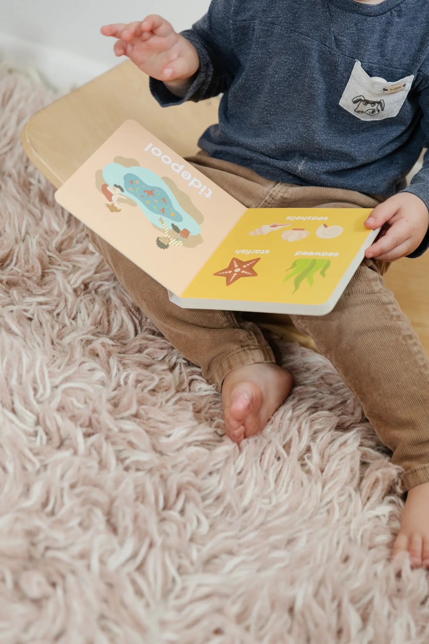 baby reading book