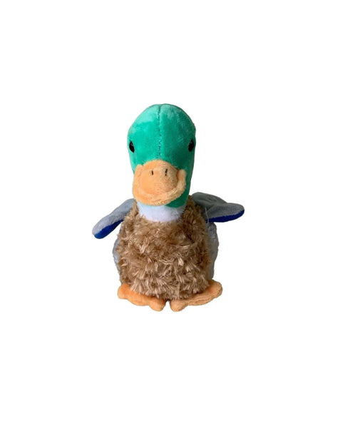 green brown and grey mallard duck plush with Boston embroidered in green on the wing