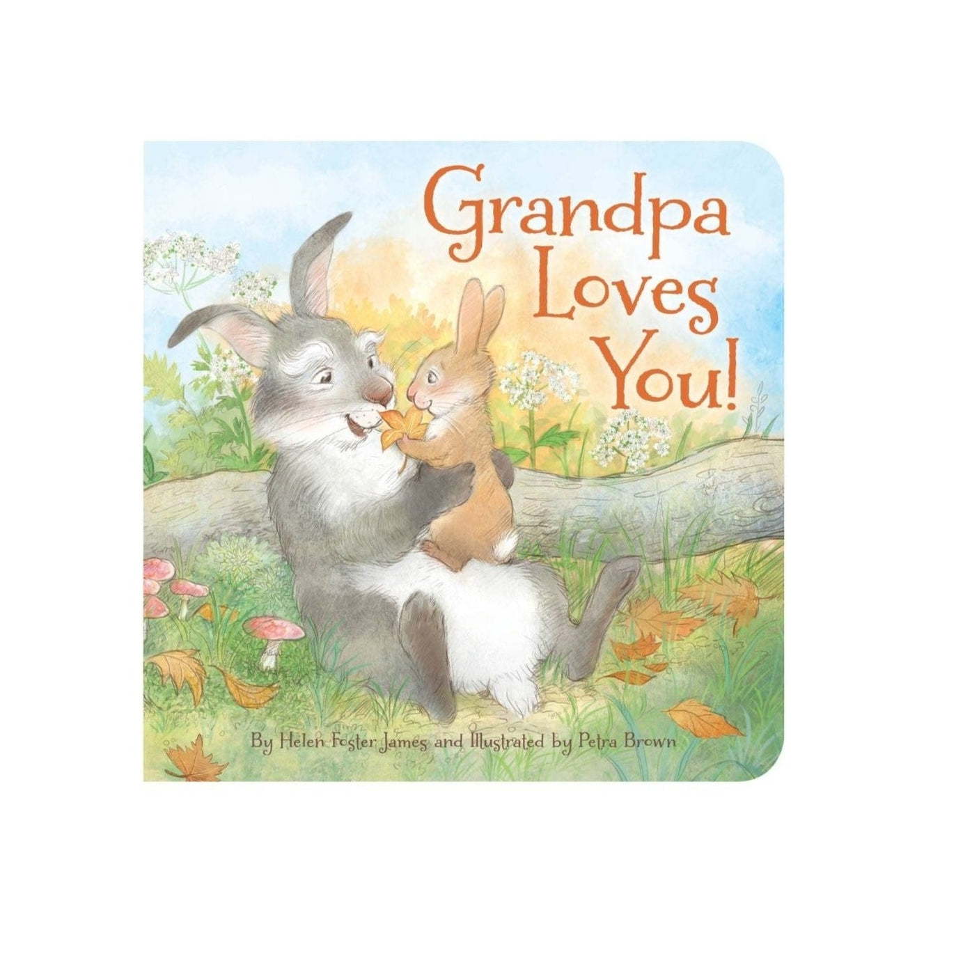 book cover with baby and grandpa bunnies