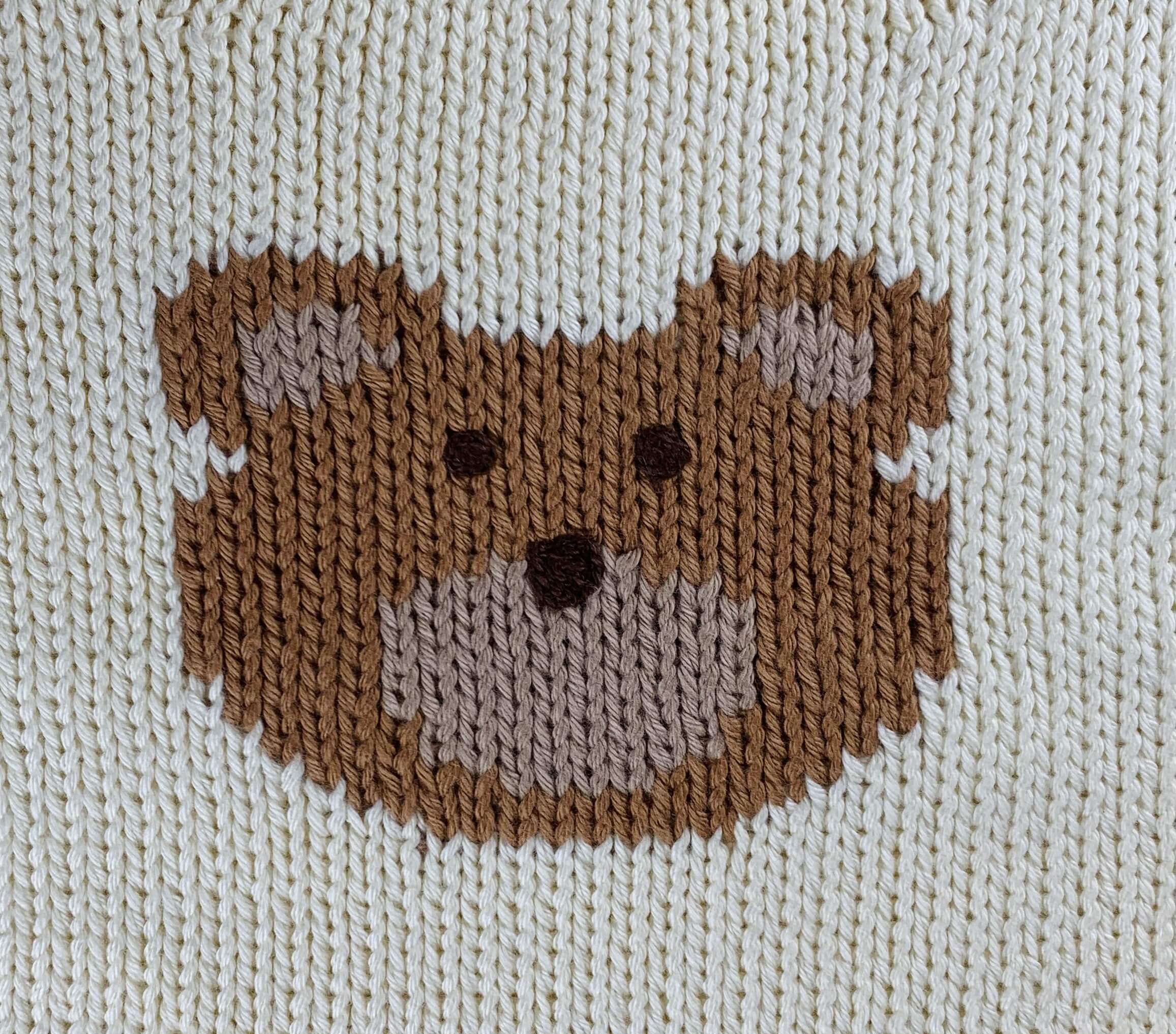 close up of tan bear face, has dark brown eyes and nose and a lighter tan color for mouth and inside of ears