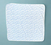 blue boston blanket