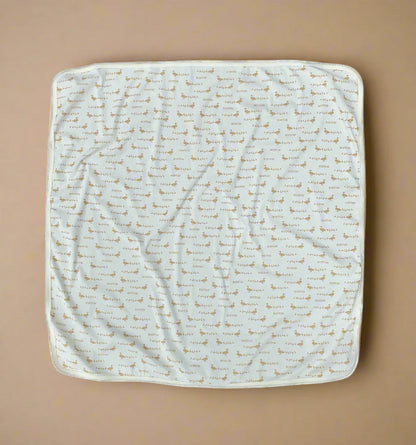 boston baby blanket with ducklings