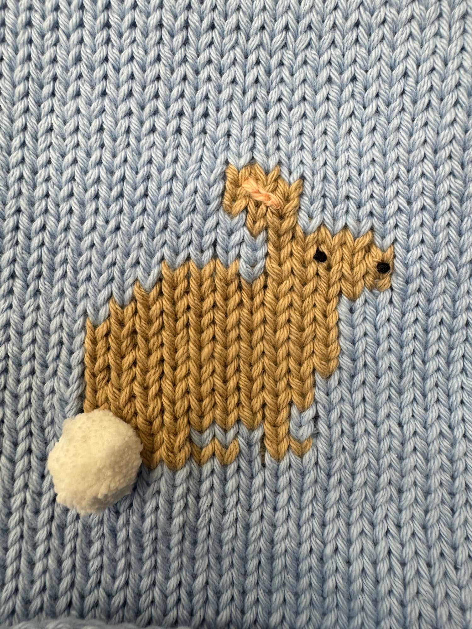 close up of bunny on blue sweater