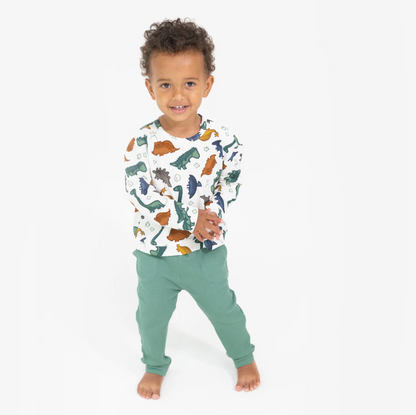 White/Green Dinosaur Waffle Sweatshirt + Jogger 2pc Set