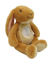Brown plush bunny with a heart-shaped tag on a white background