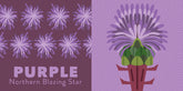 Illustration of a purple flower with green leaves on a purple background, labeled &
