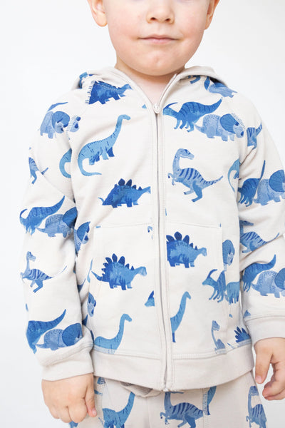 top is a zippered hoodie and bottoms are joggers, they have blue dinosaur print, different types of dinosaurs all over
