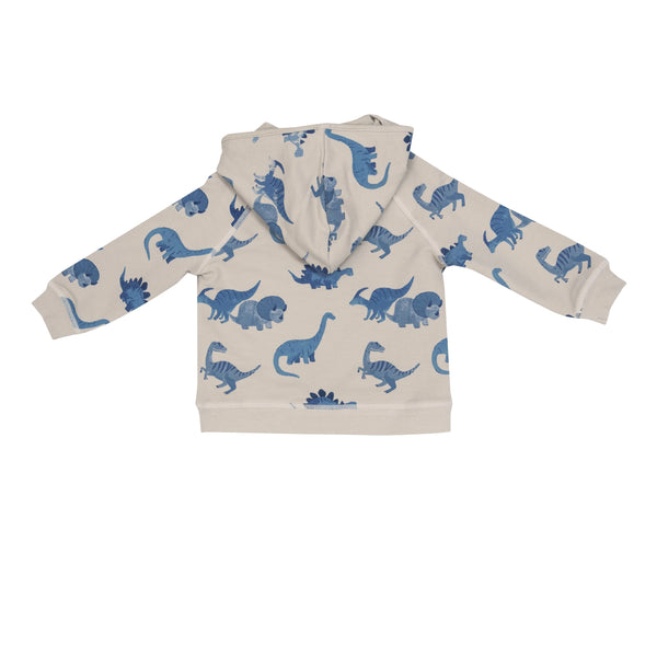 top is a zippered hoodie and bottoms are joggers, they have blue dinosaur print, different types of dinosaurs all over