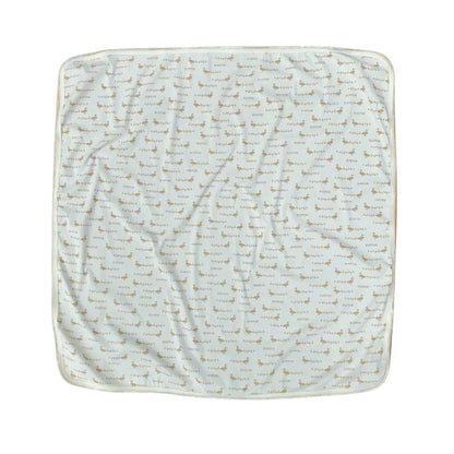 boston baby blanket with ducklings