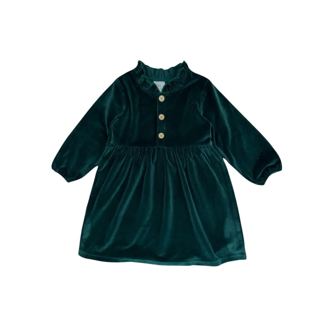 evergreen velvet holiday dress for kids