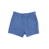 Blue shorts on a white background