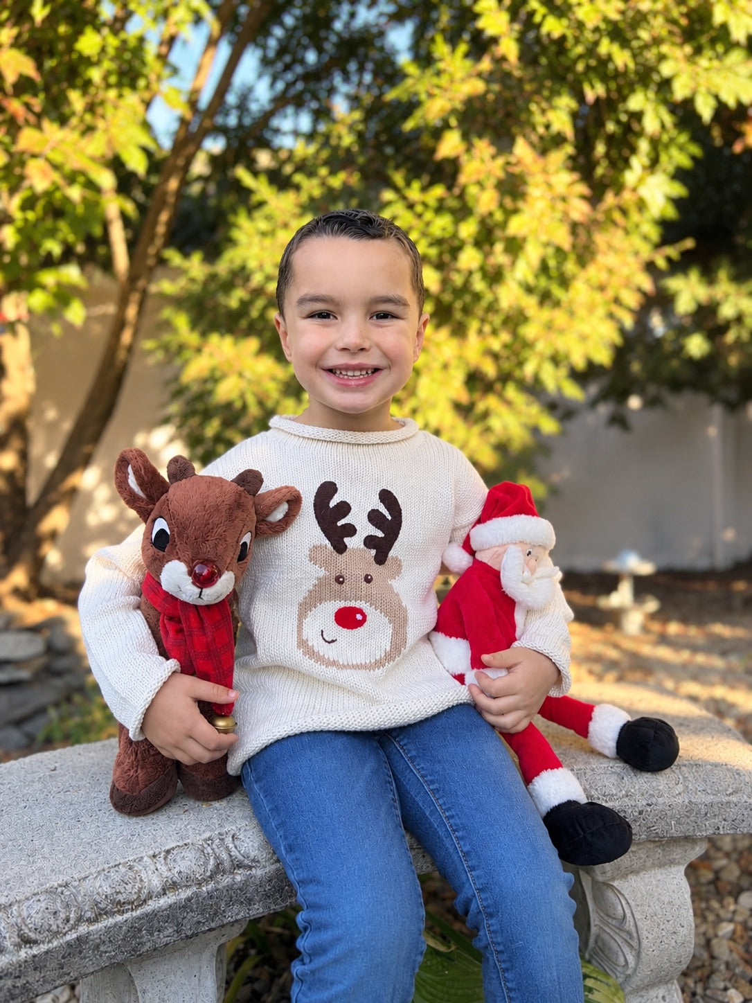 boy wearing sweater holding two christmas plush