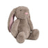 Plush toy rabbit with pink interior on a white background