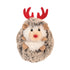 hedgehog with antlers and red nose