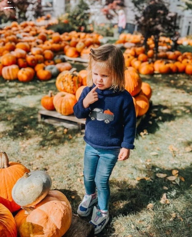 Navy Pumpkin Truck Roll Neck Sweater