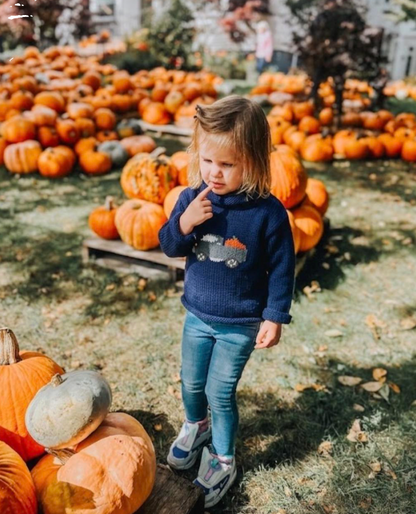 Navy Pumpkin Truck Roll Neck Sweater