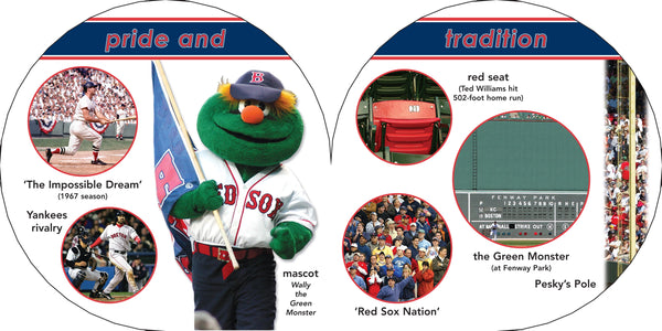 Boston Red Sox 101 book