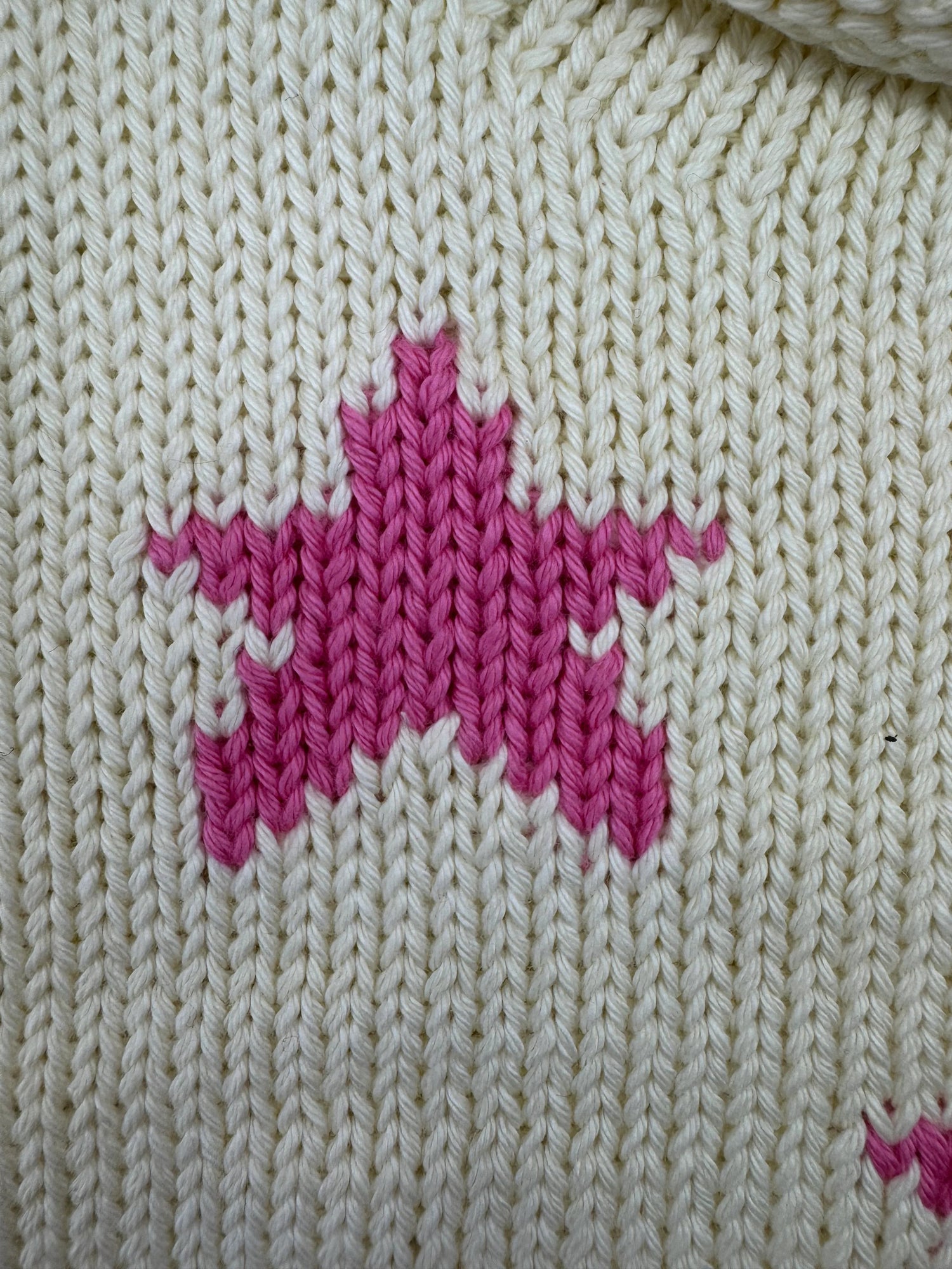 Close-up of a pink embroidered design on ivory fabric