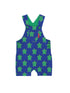 blue overalls with green turtles all over