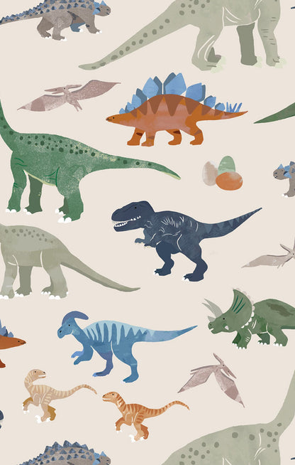 Washy Dinos 2 Way Zipper Footie