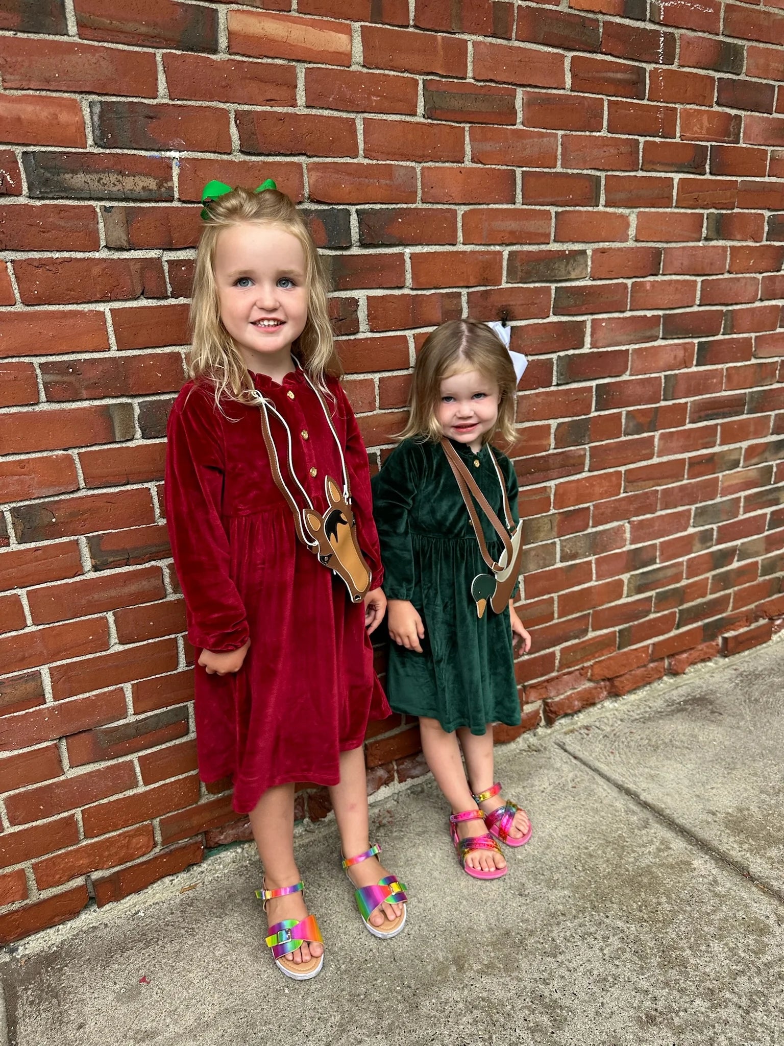 Cranberry Velvet Button Dress