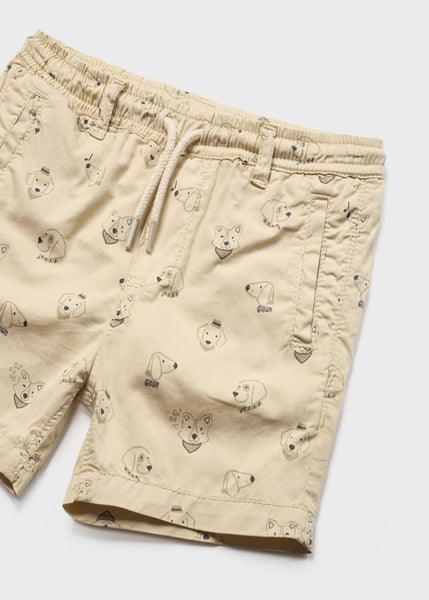 close up of dogs on shorts